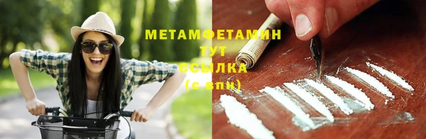 индика Богородск