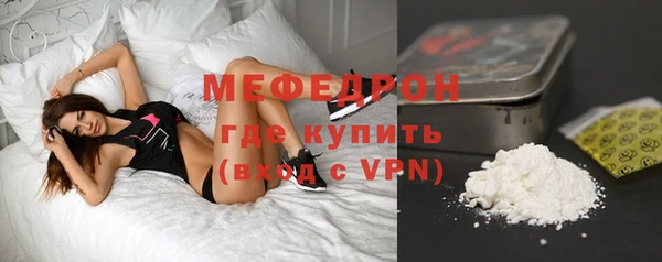 индика Богородск
