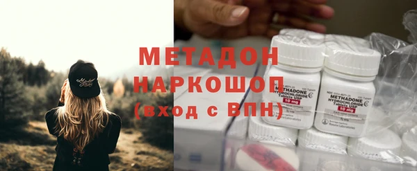 индика Богородск