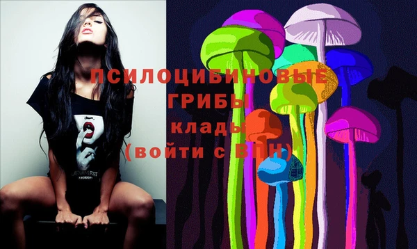 тгк Беломорск
