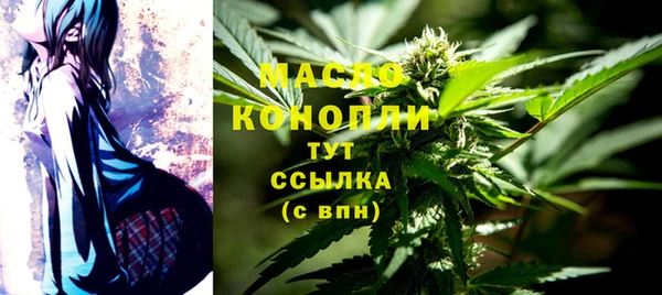 индика Богородск