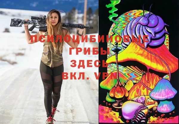МДПВ Богданович