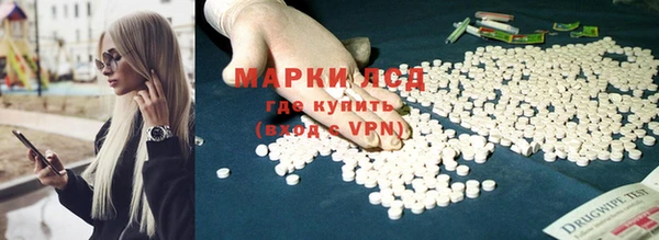 тгк Беломорск