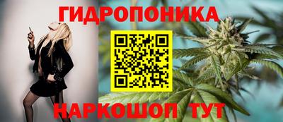 spice Можга