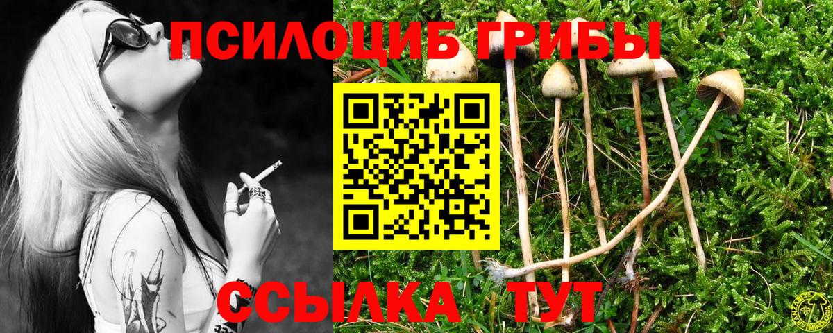 Реж  Галлюциногенные грибы мухоморы  Вход с VPN 
